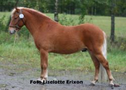 favoriten favoriten