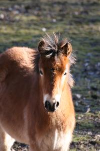 pitan 2008-02-23 025