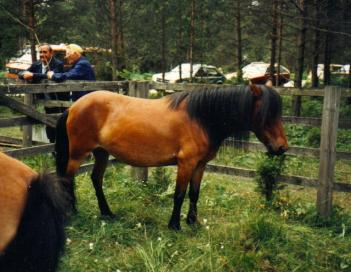 berta 2497 1987