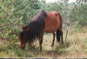 lojsta 1996 ann 2565