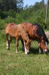 img_4366 img_4366