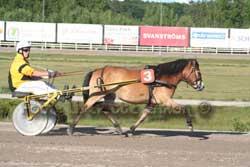 sundbyholm-dorotea